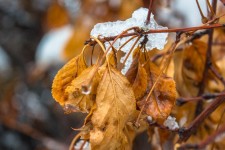 بارش ها تا روز یک شنبه هفته آینده ادامه دارد