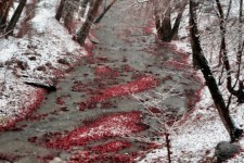 در روزهای سرد زمستان به این شهرصحنه سفر کنید