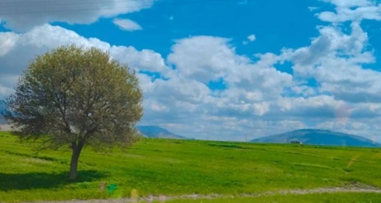 طبیعت بهاری شهرستان صحنه