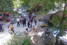 ۱۰۰ هزار گردشگر از جاذبه‌های شهرستان صحنه بازدید کردند