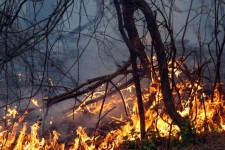 آتش بر جان کرمانشاه