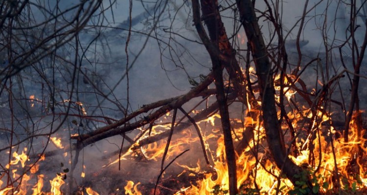 آتش بر جان کرمانشاه