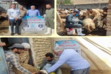 اردوی جهادی دامپزشکی در صحنه انجام شد