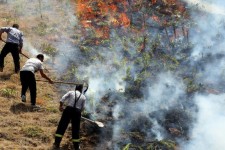آتش‌سوزی منطقه حفاظت شده امروله و دالاخانی صحنه مهار شد