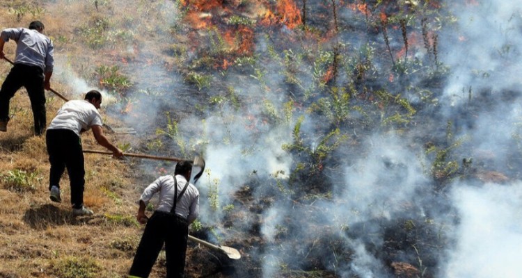 آتش‌سوزی منطقه حفاظت شده امروله و دالاخانی صحنه مهار شد