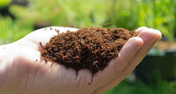 898 تن ازانواع کودهای کشاورزی درشهرستان صحنه تامین و توزیع شد