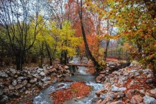 رویداد عکاسی «پاییز هزار رنگ» در شهر صحنه برگزار می‌شود