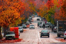 دمای هوای صحنه روند کاهشی دارد