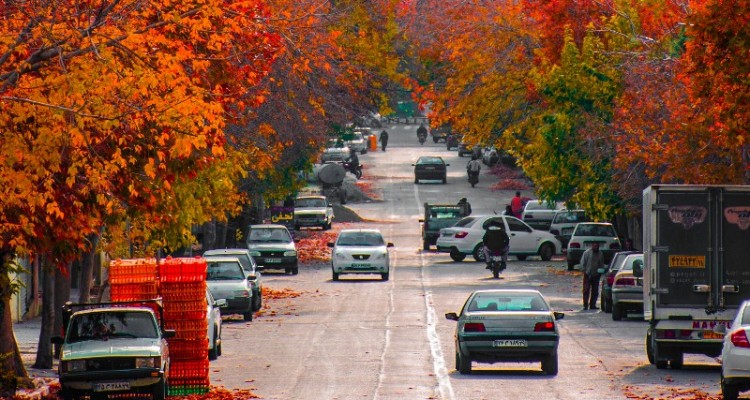 باغ شهر صحنه