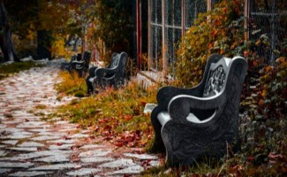 پیاده روی زیبا