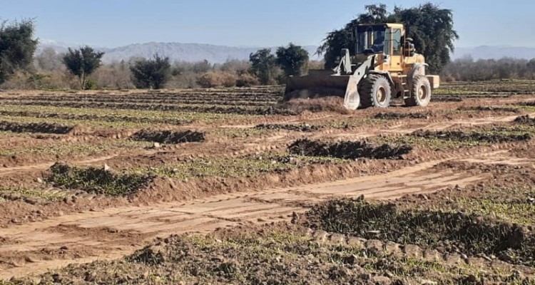 ۱۵ هزار متر مربع از زمین ملی شهرستان صحنه از متصرفان بازپس گیری شد