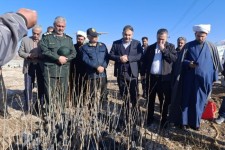 پویش درختکاری درروستای ینگیجه بخش دینور  برگزار شد