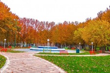 کمبود پارک و هزاران آسیب در صحنه