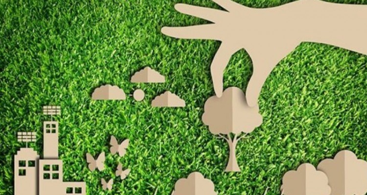 کسب عنوان برتر کشوری برای خانه محیط زیست دبستان بعثت شهرستان صحنه