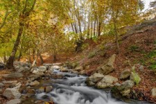 باغ‌شهر کوچک صحنه، تفرجگاهی خوش آب و هوا برای نوروز