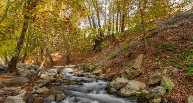 باغ‌شهر کوچک صحنه، تفرجگاهی خوش آب و هوا برای نوروز