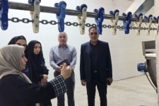 احیای کشتارگاه مرغ صحنه با تزریق ۲ هزار میلیارد ریال تسهیلات