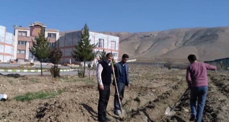 احداث گلستان تحقیقاتی گل محمدی در دانشگاه آزاد اسلامی واحد صحنه