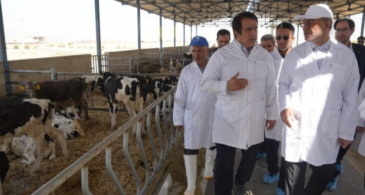 پالایشگاه شیر در غرب استان احداث می شود