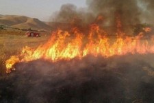 جارسوزی در کمین مراتع صحنه است