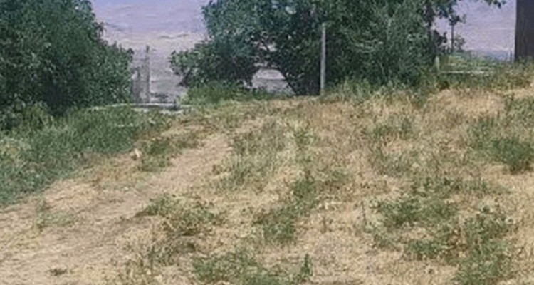 شناسایی متخلفان تخریب اراضی ملی در صحنه