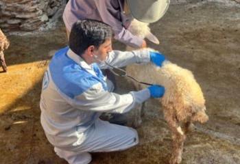 خدمت‌رسانی جهادی دامپزشکی در روستاهای صحنه با محوریت ارتقای بهداشت و سلامت