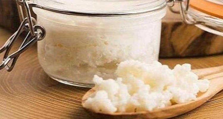 پروبیوتیک ها در کاهش استرس موثرند