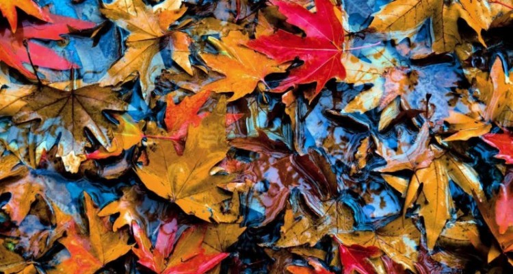 دمای هوای شهرستان صحنه سرد تر می شود