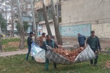 خدمات شهرداری صحنه برای داشتن شهری زیبا