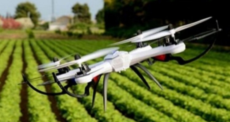 جهاد کشاورزی کرمانشاه از طرح‌های اولویت‌دار پژوهشی برای اجرا، حمایت می‌کند