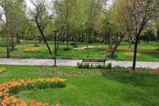 عملیات اجرایی احداث بوستان شهرک امام(ره) در شهر صحنه آغاز شد