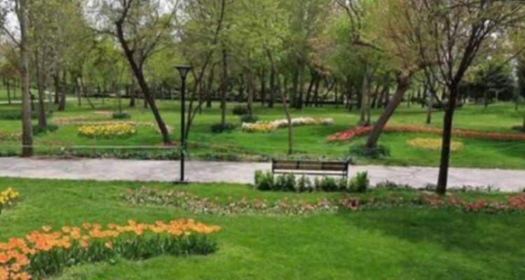 عملیات اجرایی احداث بوستان شهرک امام(ره) در شهر صحنه آغاز شد