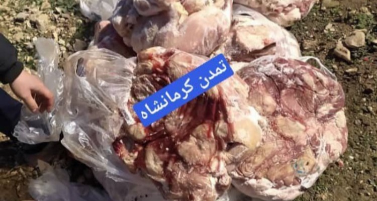 130 کیلوگرم گوشت فاسد از دو رستوران سطح شهر صحنه کشف شد