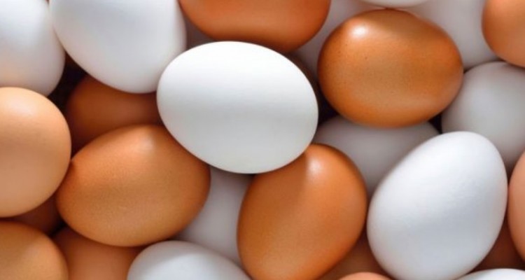 عرضه تخم مرغ فاقد هویت بهداشتی در صحنه ممنوع است