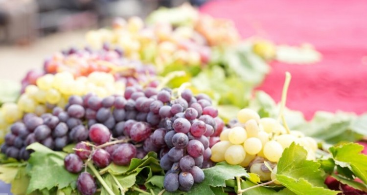 هدف از جشنواره‌های محلی معرفی پتانسیل‌های شهرستان صحنه است