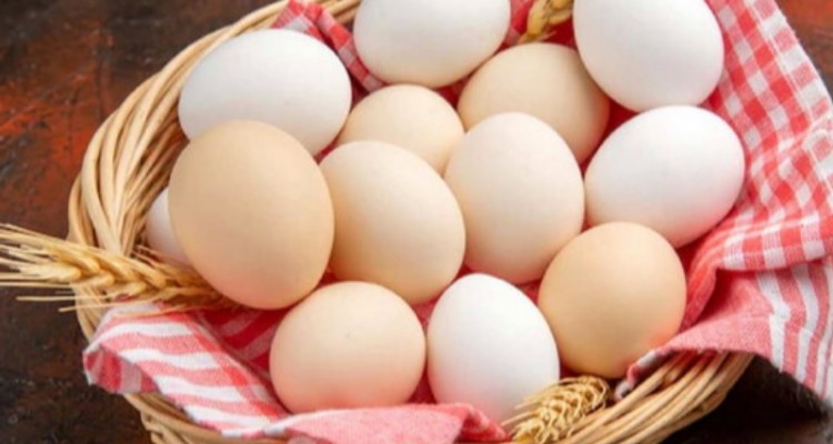 نکاتی که باید هنگام مصرف تخم مرغ رعایت کنیم