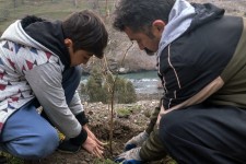 ۲ هزار اصله نهال بومی زاگرس در کرمانشاه کاشت می‌شود