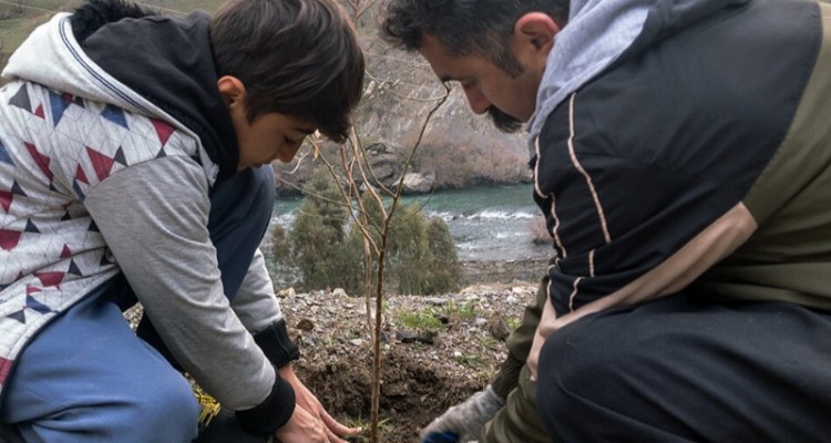 ۲ هزار اصله نهال بومی زاگرس در کرمانشاه کاشت می‌شود