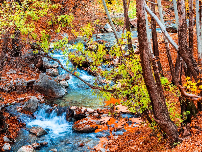 دربند صحنه