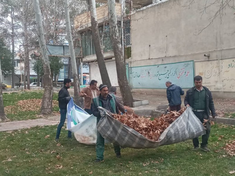 خدمات شهرداری صحنه برای داشتن شهری زیبا