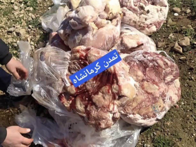 130 کیلوگرم گوشت فاسد از دو رستوران سطح شهر صحنه کشف شد