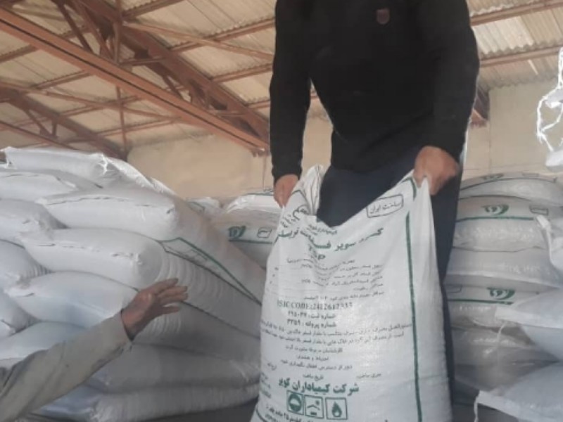 37000کیلوگرم کودکلروپتاسیم گرانوله درشهرستان صحنه توزیع شد