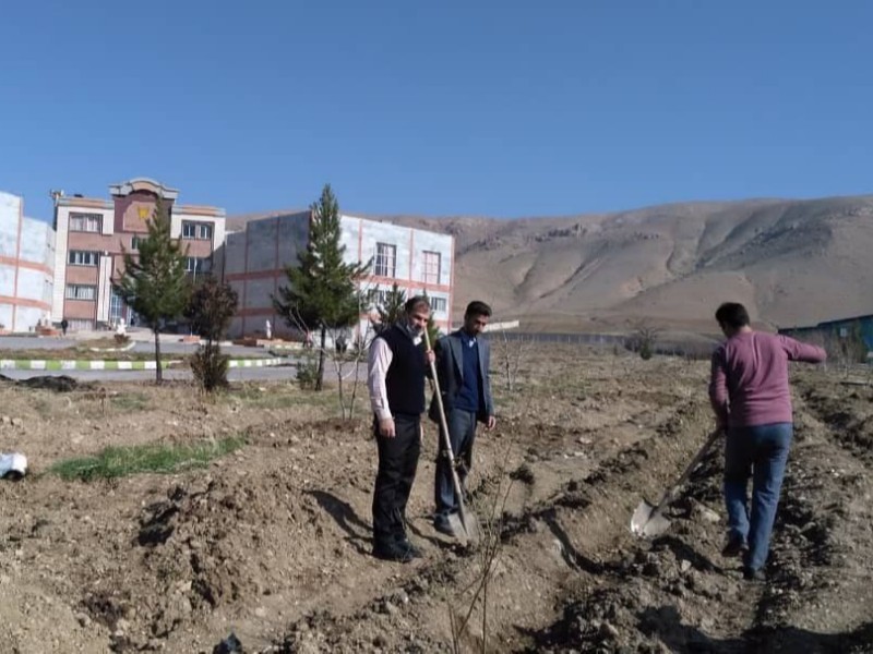 احداث گلستان تحقیقاتی گل محمدی در دانشگاه آزاد اسلامی واحد صحنه