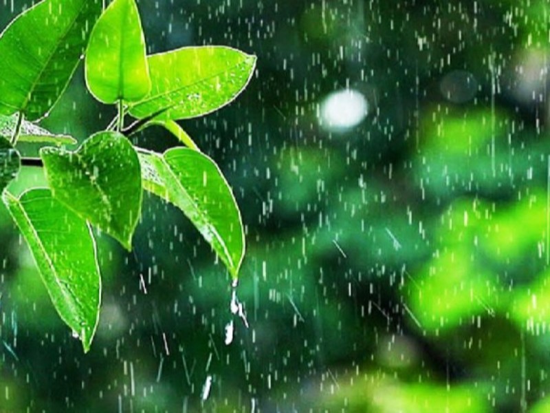 صحنه با ۵۳.۷ میلیمتر رکورددار بارش های اخیر در کرمانشاه صحنه با ۵۳.۷ میلیمتر رکورددار بارش های اخیر در کرمانشاه
