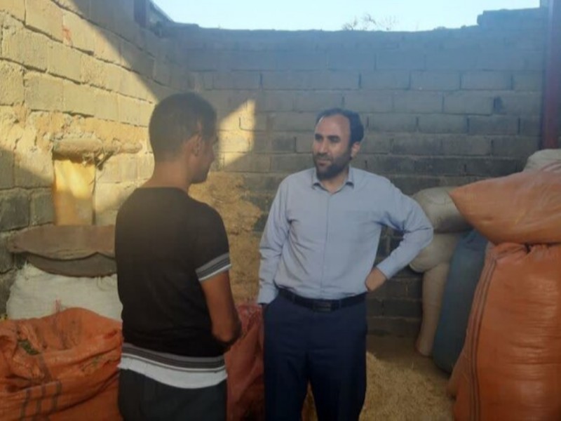 دیدار مدیرکل بهزیستی استان با مددجوی کارآفرین شهرستان صحنه‌