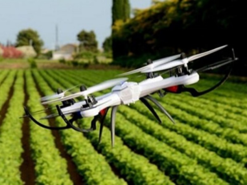 جهاد کشاورزی کرمانشاه از طرحهای اولویتدار پژوهشی برای اجرا، حمایت میکند جهاد کشاورزی کرمانشاه از طرحهای اولویتدار پژوهشی برای اجرا، حمایت میکند