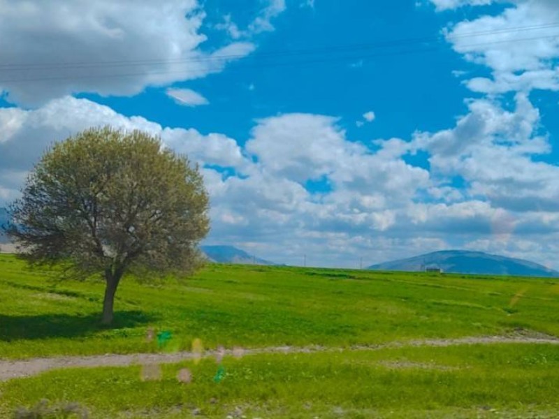 طبیعت بهاری شهرستان صحنه طبیعت بهاری شهرستان صحنه
