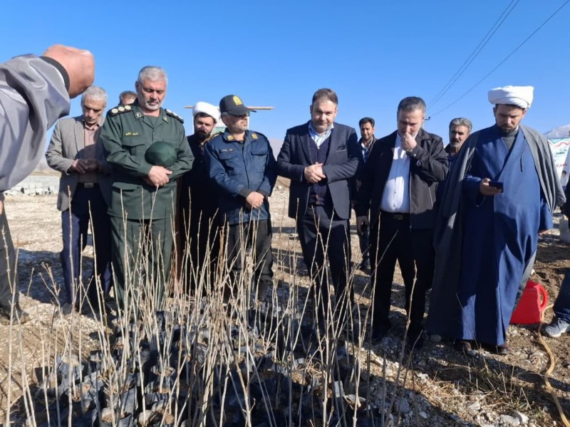 پویش درختکاری درروستای ینگیجه بخش دینور برگزار شد پویش درختکاری درروستای ینگیجه بخش دینور برگزار شد