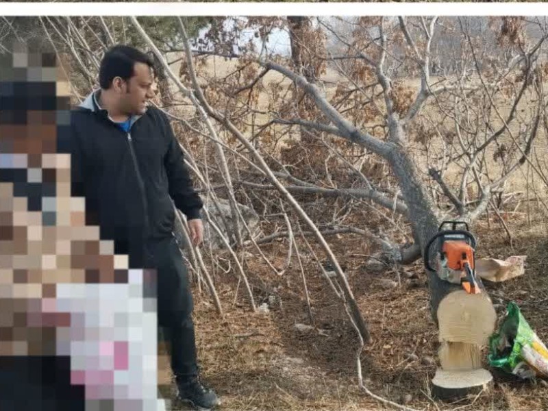 دستگیری عامل قطع درختان حاشیه بزرگراه کربلا توسط پاسگاه ویژه منابع طبیعی شهرستان صحنه