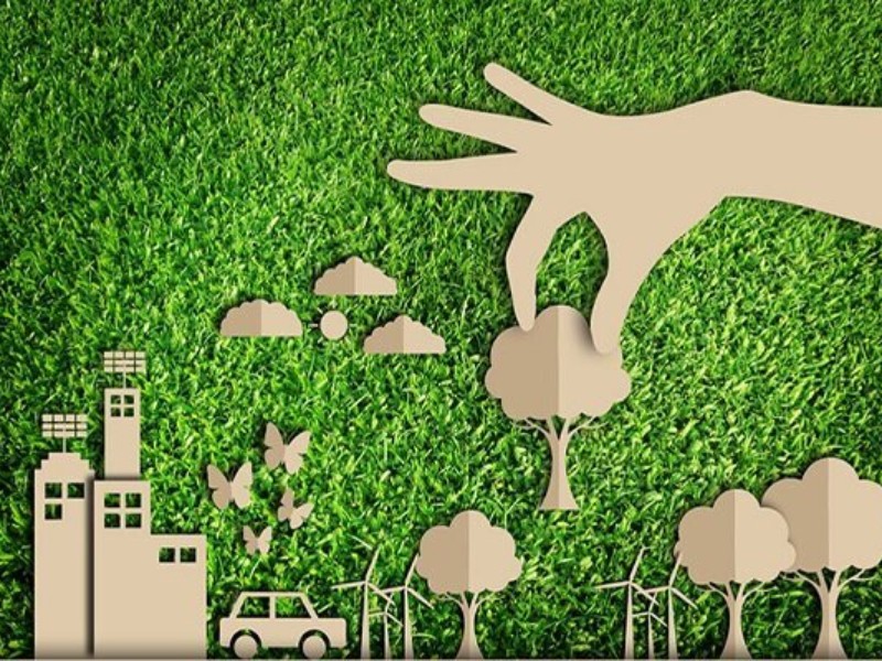 کسب عنوان برتر کشوری برای خانه محیط زیست دبستان بعثت شهرستان صحنه